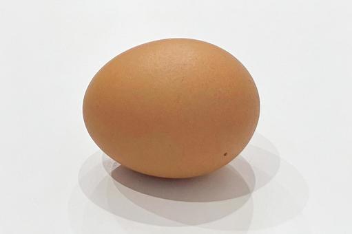 玉子 玉子,食用卵,生卵の写真素材