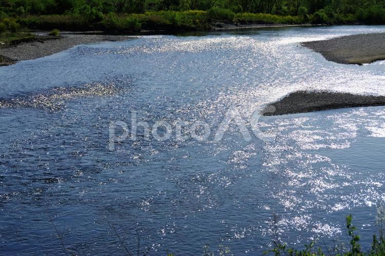 日の光を反射する川面 川,川面,水面の写真素材