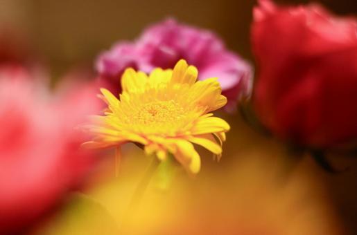 他の花と一緒に飾られている黄色い花 他の花と一緒に飾られている黄色い花の写真