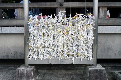 おみくじ1 籤,願掛け,占いの写真素材