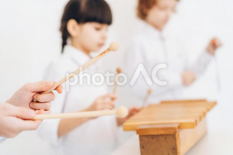 木琴を演奏する子どもたち 女の子,男の子,手元の写真素材
