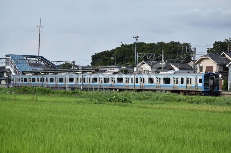 相模線 相模線,鉄道,列車の写真素材