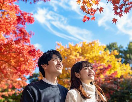 秋の紅葉を鑑賞するカップル 秋の紅葉を鑑賞するカップルの写真