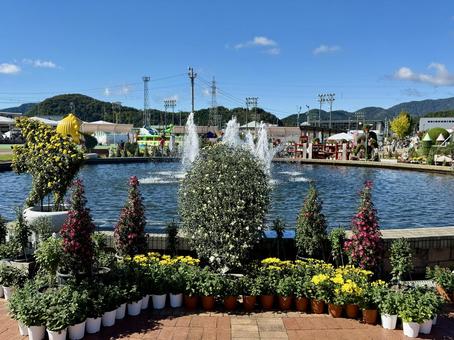 秋の武生中央公園 秋の武生中央公園 モニュメント,菊人形,菊祭の写真素材
