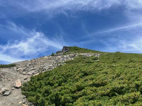 夏の悪沢岳へ登山14 千枚岳 夏の悪沢岳へ登山14 千枚岳 千枚岳,悪沢岳,荒川岳の写真素材