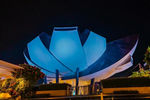 【シンガポール】マリーナベイサンズの周辺 シンガポール,マリーナベイサンズ,ベイフロントの写真素材