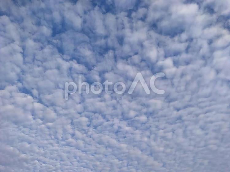 標高２２００ｍ超えから見た美しいうろこ雲 うろこ雲,いわし雲,さば雲の写真素材