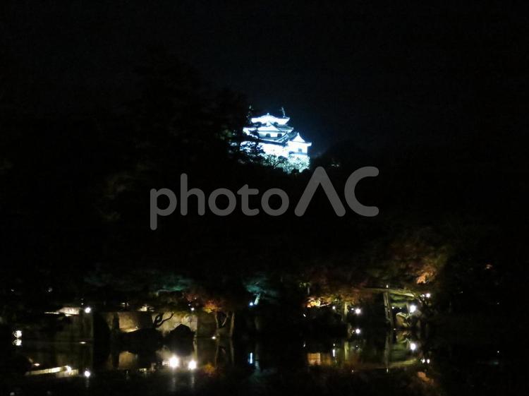 玄宮園（彦根） 城,彦根城,ライトアップの写真素材