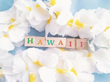 ハワイのイメージ ハワイのイメージ ハワイ,hawaii,レイの写真素材