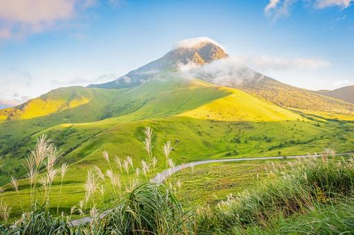 大分県　由布シルキーロードと由布岳の絶景 由布シルキーロード,由布岳,湯布院の写真素材