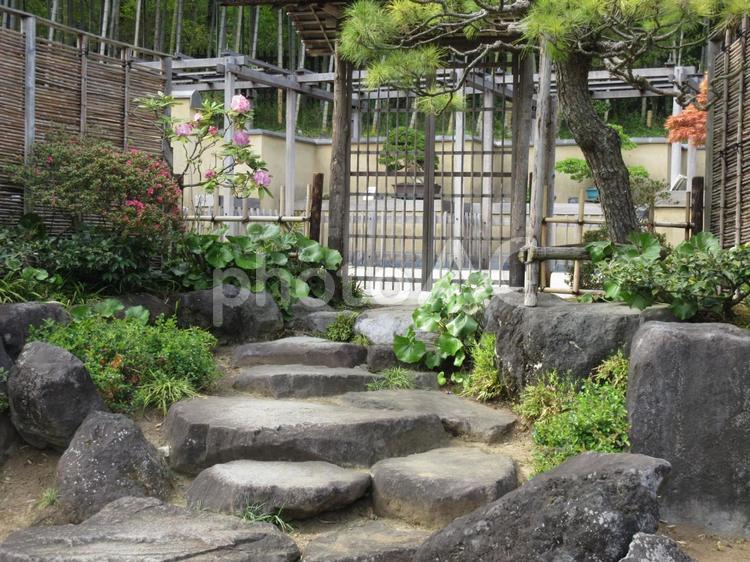 日本庭園　昭和記念公園 日本庭園,昭和記念公園,美しいの写真素材