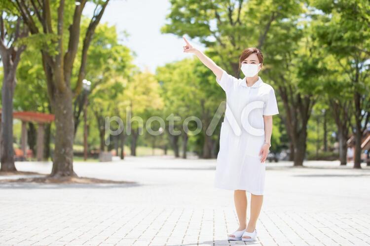 マスクをする白衣の女性 看護師,ナース,マスクの写真素材