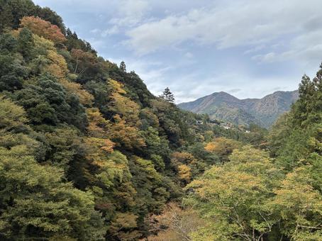 紅葉の奥多摩 紅葉,奥多摩,渓谷の写真素材