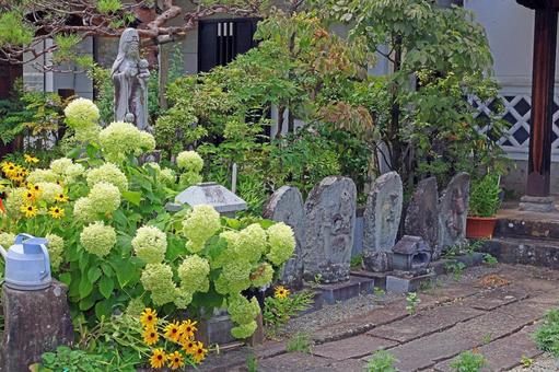 Photo, shoganji temple, jodo sect, mount kuwabara fudanin shoganji temple, 