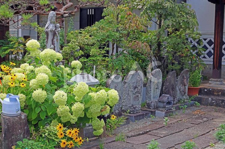 正願寺（諏訪） 正願寺,浄土宗,桑原山不断院正願寺の写真素材