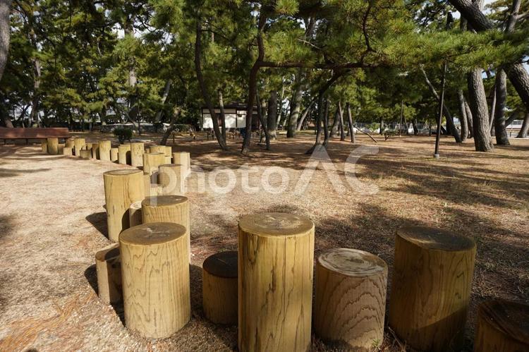 須磨海浜公園の健康の木 須磨,材木,自然の写真素材
