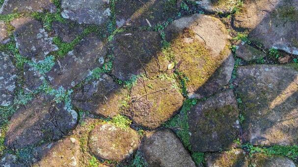 日のさす石畳 石,石畳,苔の写真素材
