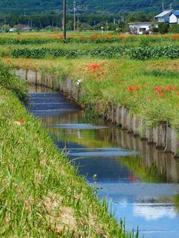 秋の風景の写真