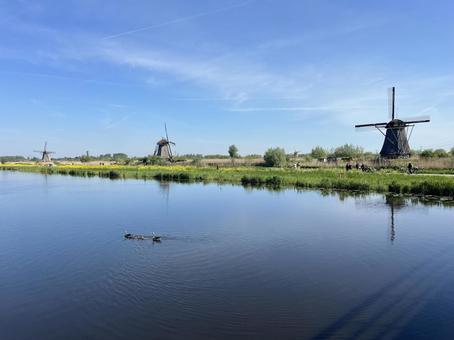 キンデルダイク＝エルスハウトの風車網 キンデルダイク,風車,オランダの写真素材