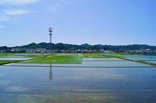 田舎の風景 田んぼ,里山,自然の写真素材