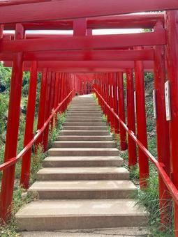 山口県長門市 元乃隅神社 山口県長門市 元乃隅神社 元乃隅神社,山口県,長門市の写真素材