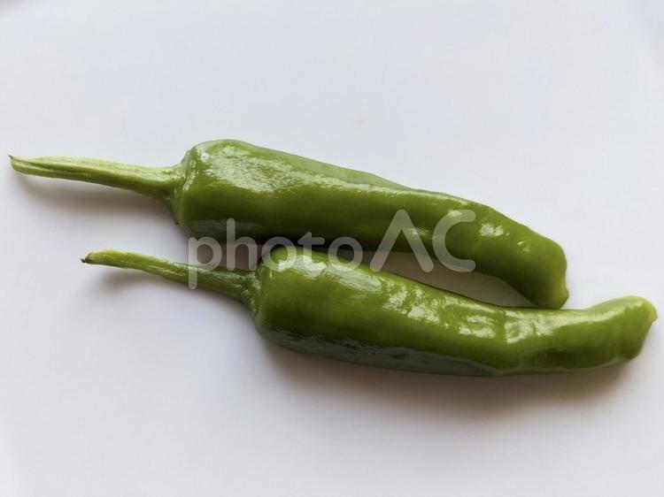 ししとう 野菜,緑黄色,食材の写真素材