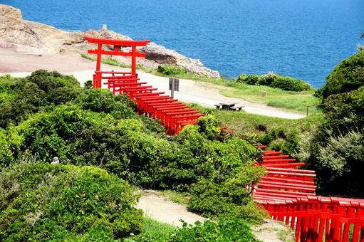 山口県元乃隅神社 山口県元乃隅神社の写真