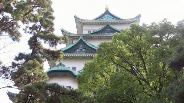名古屋城　天守　大天守 名古屋城,尾張徳川家,御三家の写真素材