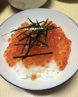 いくらぶっかけ いくらぶっかけ いくら,ごはん,実家の写真素材