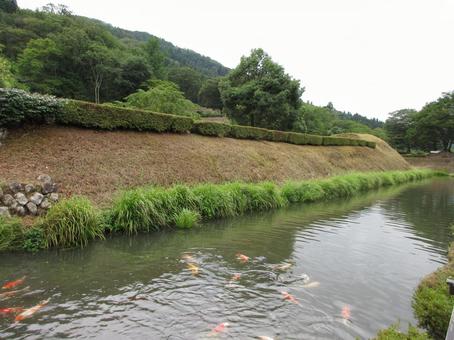 福井県-一乗谷朝倉氏遺跡-堀と土塁 福井県-一乗谷朝倉氏遺跡-堀と土塁の写真