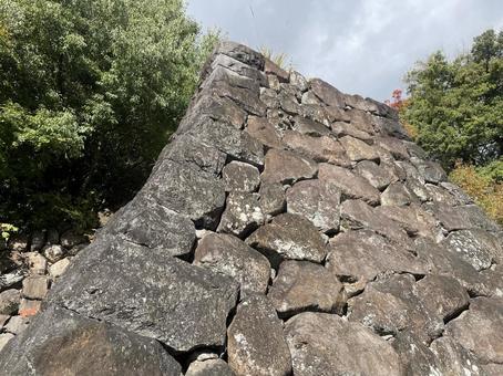 武田神社 武田神社,山梨県,甲府市の写真素材