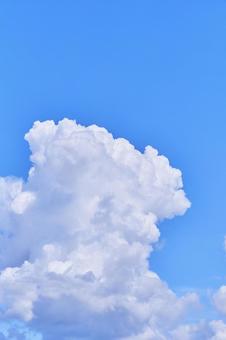 夏を感じる発達中の入道雲と青空 夏を感じる発達中の入道雲と青空 空,青空,雲の写真素材