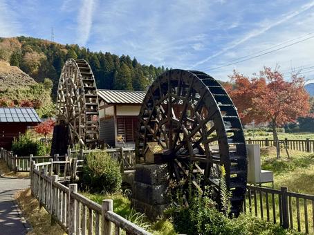 11月　秋の竹田水車メロディーパーク 竹田水車メロディーパーク,自然,水車の写真素材