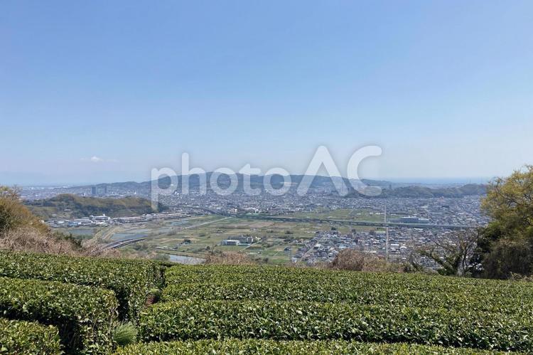 賤機山からの静岡市の街並み　その9 しずはた山,静岡県,静岡市の写真素材