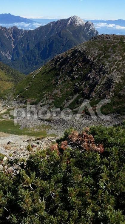 日本　山梨　仙丈ケ岳 日本,山梨,仙丈ケ岳の写真素材