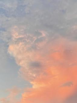 ピンク色の雲のある夕空 ピンク色の雲のある夕空の写真