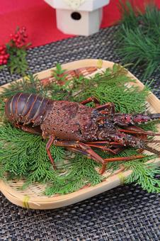 伊勢海老 伊勢海老 伊勢海老,海老,和食の写真素材