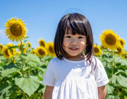 ひまわり畑と子供と青空 ひまわり畑と子供と青空の写真