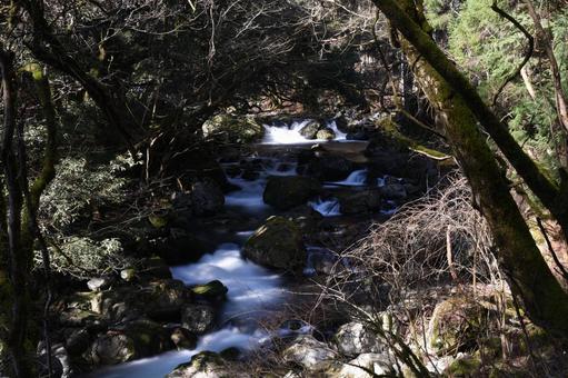 Photo, vallée, flux, débit d'eau, 