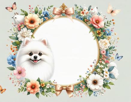 ポメラニアンと花のフレームの写真