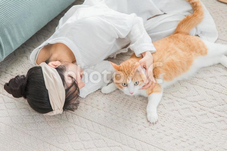 猫を可愛がる女性（ペット） 猫,ネコ,猫カフェの写真素材