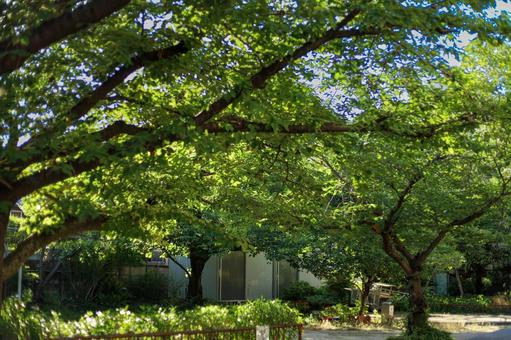 スナップフォト　〜町並み④〜 スナップ写真,スナップフォト,近代建築の写真素材