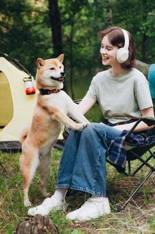 犬に手を伸ばす女性 女性,外国人,犬の写真素材