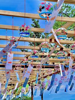 風鈴と青空 風鈴,風鈴祭,寺院の写真素材