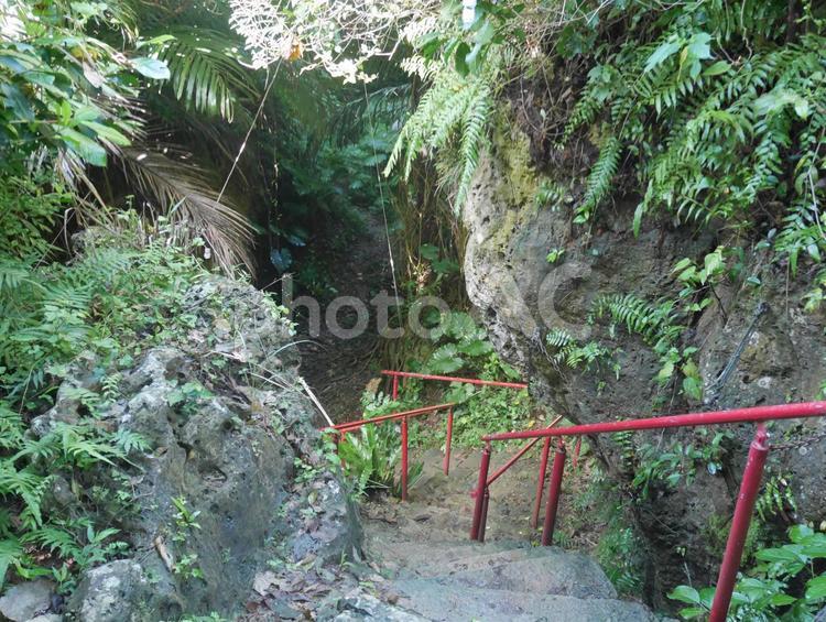 那覇市、末吉宮（すえよしぐう）周辺 那覇市,末吉,神社の写真素材