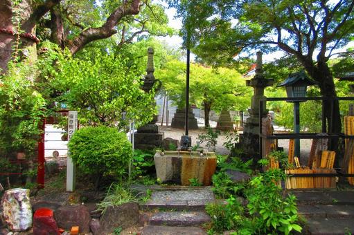愛知県-興正寺-手水 愛知県-興正寺-手水 興正寺,寺,八事山の写真素材