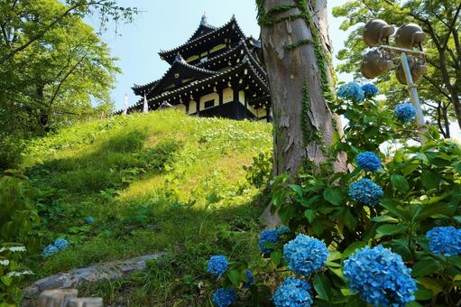 Takada Castle and hydrangea 1, JPG
