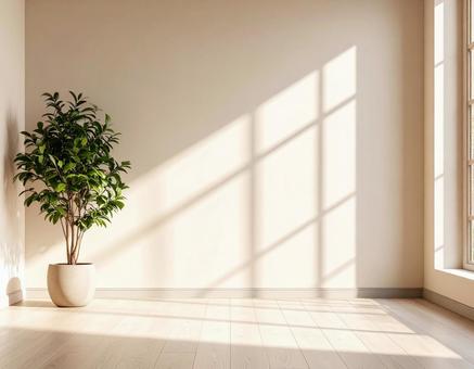 観葉植物と差し込む光 観葉植物と差し込む光の写真