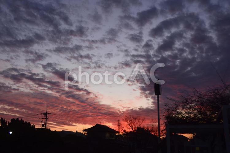 シルエットがきれいな冬の夕焼け 夕焼け,あかね色,あかね雲の写真素材
