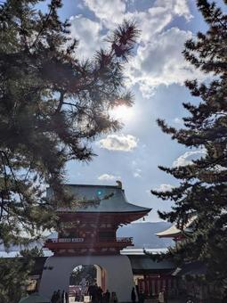 赤間神社 赤間神社の写真